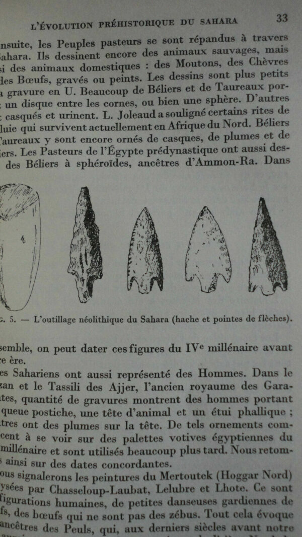 SAHARA FURON  LE SAHARA, GEOLOGIE, RESSOURCES MINERALES, MISE EN VALEUR – Image 3