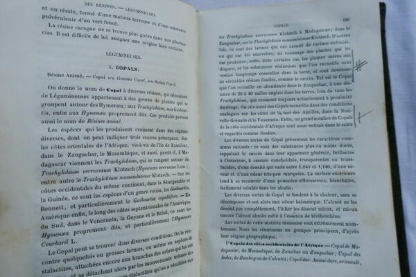 TRAITÉ PRATIQUE DE LA DÉTERMINATION DES DROGUES SIMPLES D'ORIGINE VÉGÉTALE 1875 – Image 6