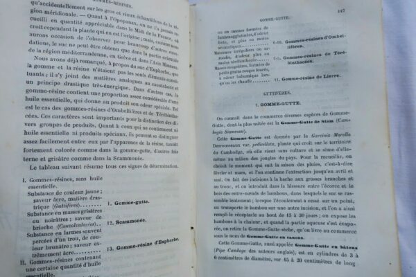 TRAITÉ PRATIQUE DE LA DÉTERMINATION DES DROGUES SIMPLES D'ORIGINE VÉGÉTALE 1875 – Image 7