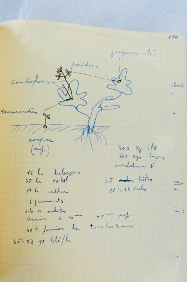 VIN Viticulture cours de l'école supérieure d'agriculture et de viticulture 1947 – Image 22