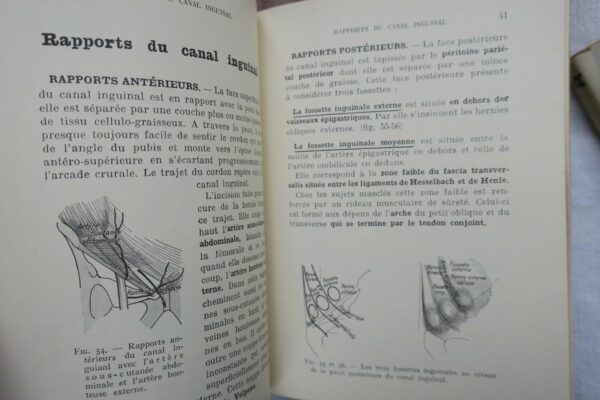 anatomie descriptive et régionale Dupuy de Frenelle – Image 12