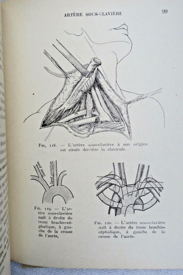 anatomie descriptive et régionale Dupuy de Frenelle – Image 4