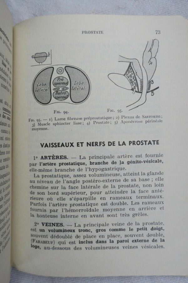 anatomie descriptive et régionale Dupuy de Frenelle – Image 6