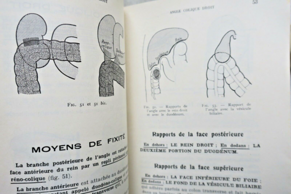 anatomie descriptive et régionale Dupuy de Frenelle – Image 10