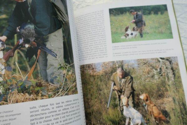 chiens d'arrêt côté chasse – Image 3