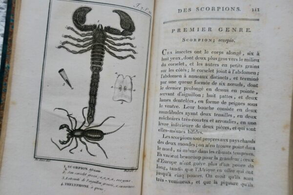 crustacés Histoire Naturelle.. des Crustacés et des insectes 1802 – Image 13