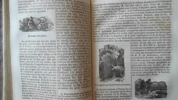 Almanach de France publié par la Société Nationale année 1845-1847 – Image 5