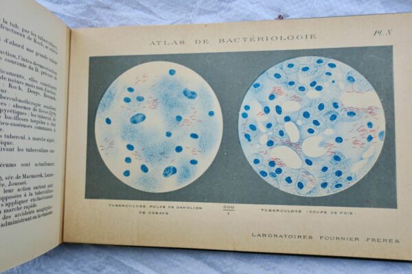 Atlas de bactériologie. Laboratoire Fournier