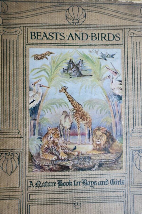 Beasts and Birds: A Nature Book for Boys and Girls 1910