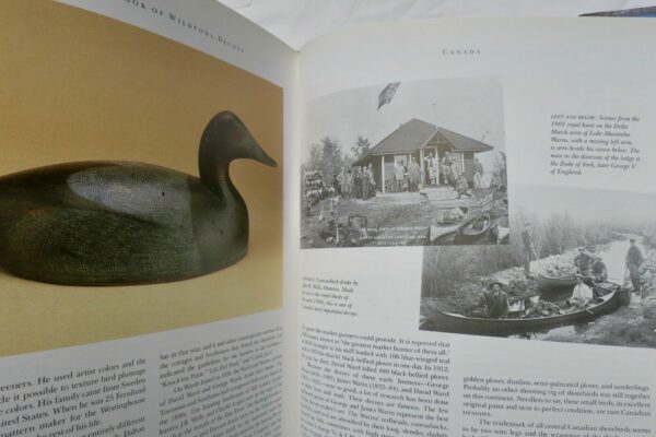 Bird Great Book of Wildfowl Decoys – Image 4