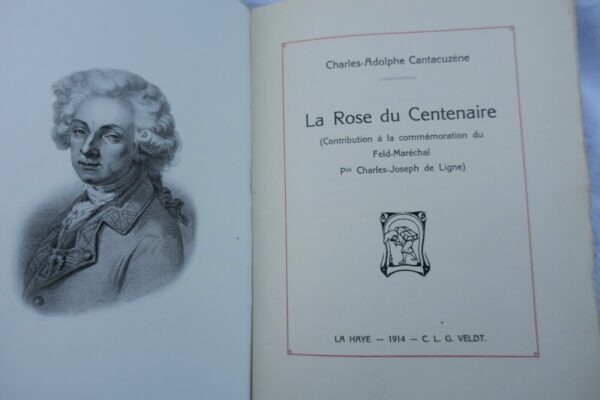 Cantacuzène La rose du centenaire 1914