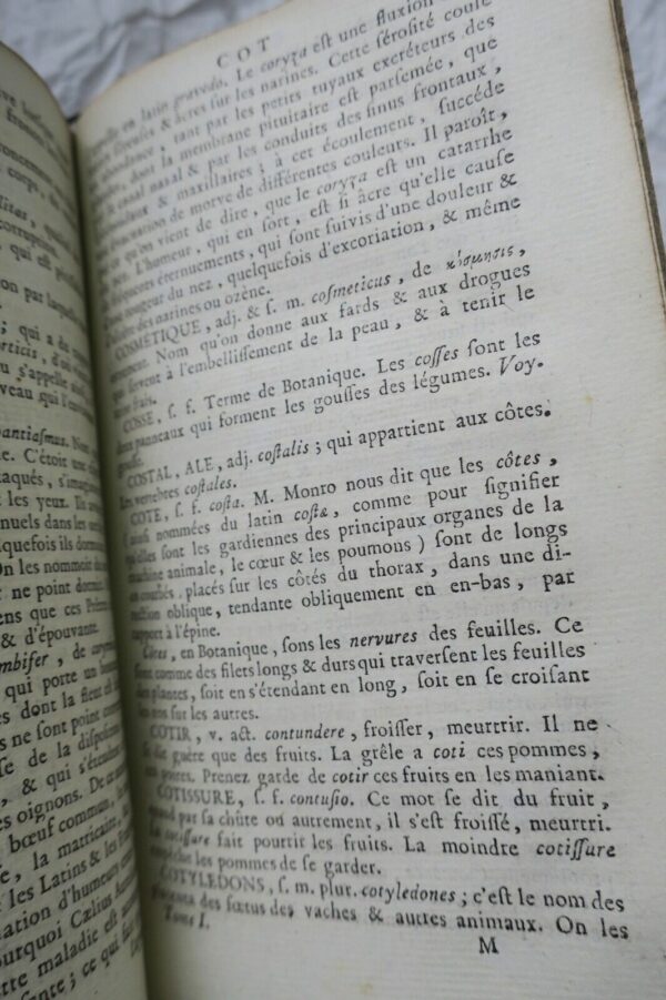 Dictionnaire portatif de médecine d'anatomie, de chirurgie, de pharmacie..1771 – Image 6