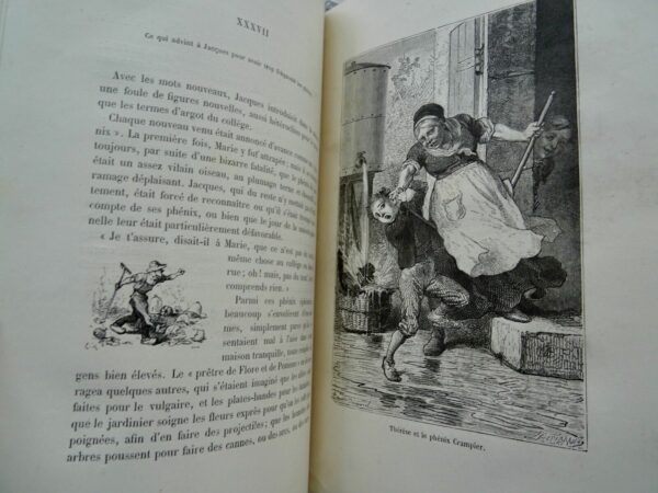 GIRARDIN NOUS AUTRES  1875 ill-Bayard – Image 9