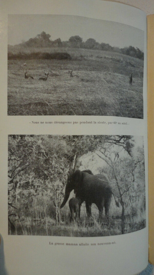 GROMIER  La vie des animaux sauvages du Chari Oriental   1941 – Image 3