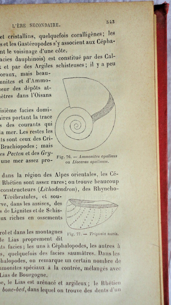 Guède  La géologie. 151 figures intercalées dans le texte – Image 4