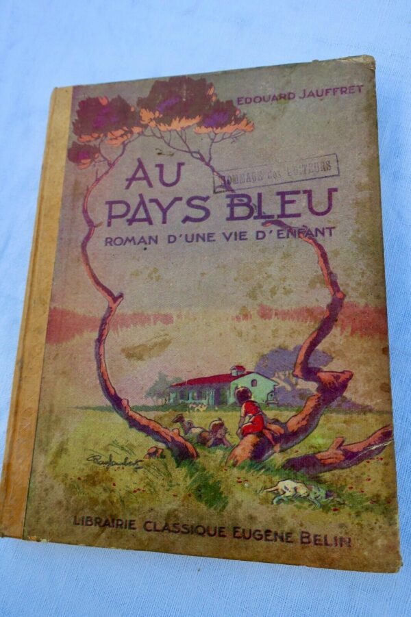 Jauffret, Édouard Au pays bleu : Roman d'une vie d'enfant