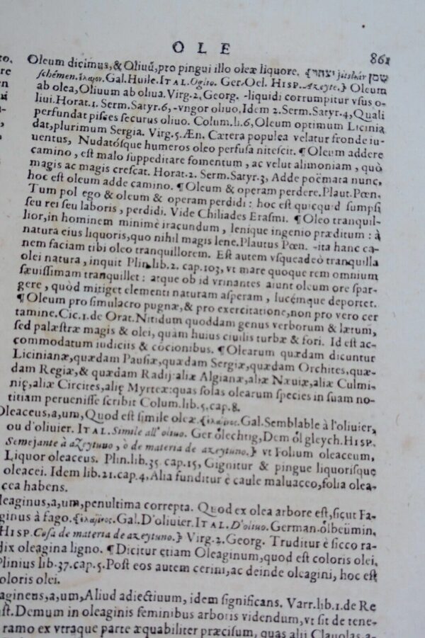 Latin dictionnaire Ambrosii Calepini dictionarium  XVII ème – Image 8