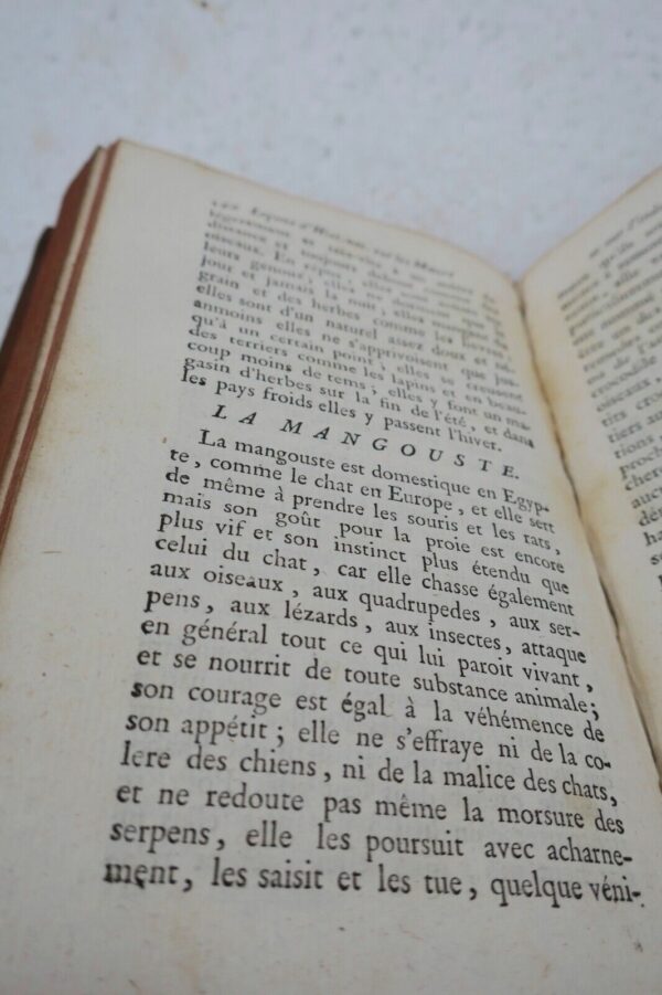 Leçons d'histoire naturelle sur les moeurs et sur l'industrie des animaux 1799 – Image 13