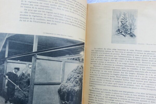 TABAC 1952 documentation française – Image 6