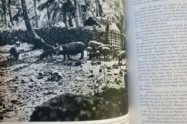 TAHITI ET SES ARCHIPELS - POLYNESIE FRANCAISE 1958 – Image 8