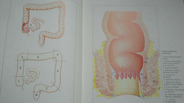 constipation Guide pratique de la constipation – Image 6