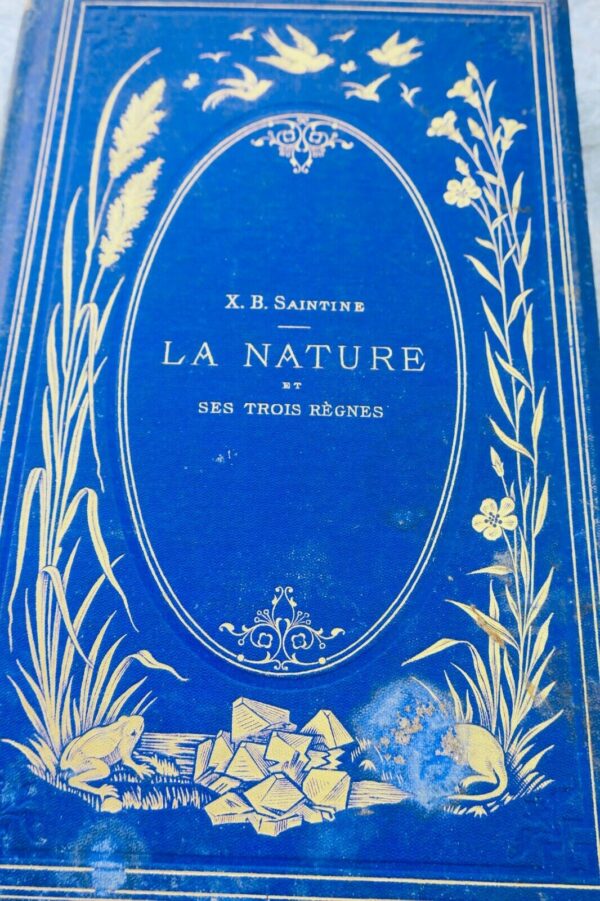 nature et ses trois règnes - Causeries et contes d'un bon papa